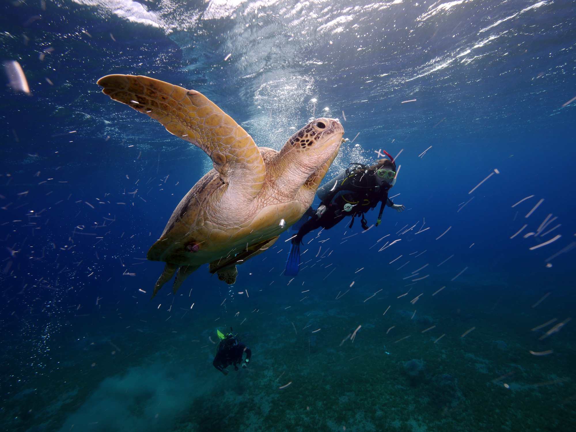 Activities in Sharm el Sheikh